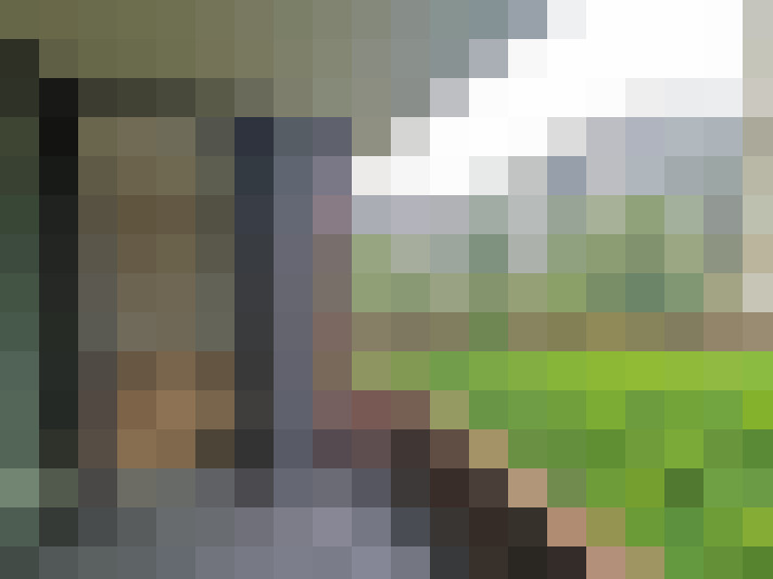  / #16