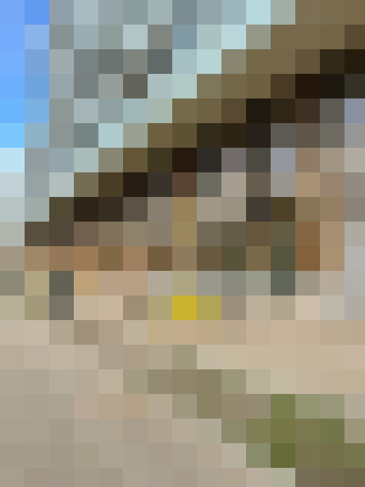  / #17