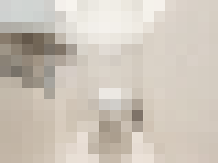  / #29