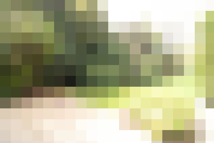  / #17