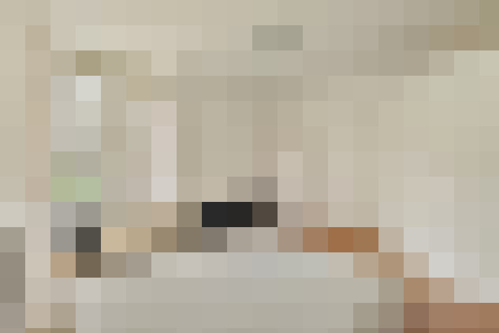  / #12
