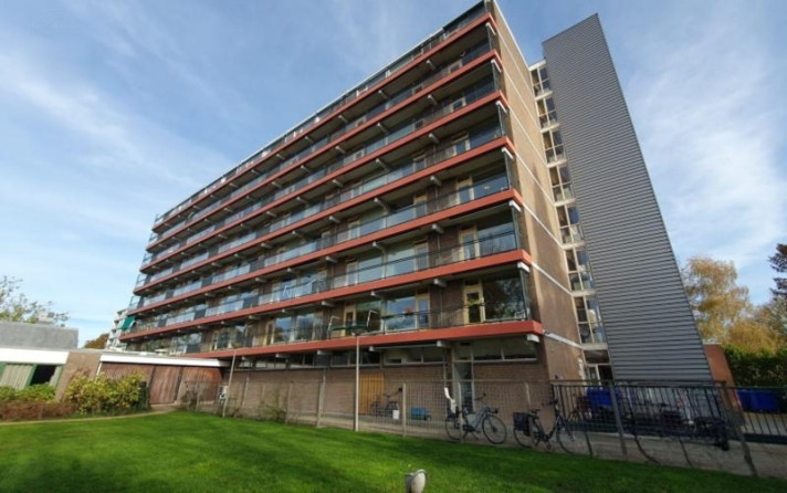 Bekijk foto 1/10 van apartment in Vijfheerenlanden