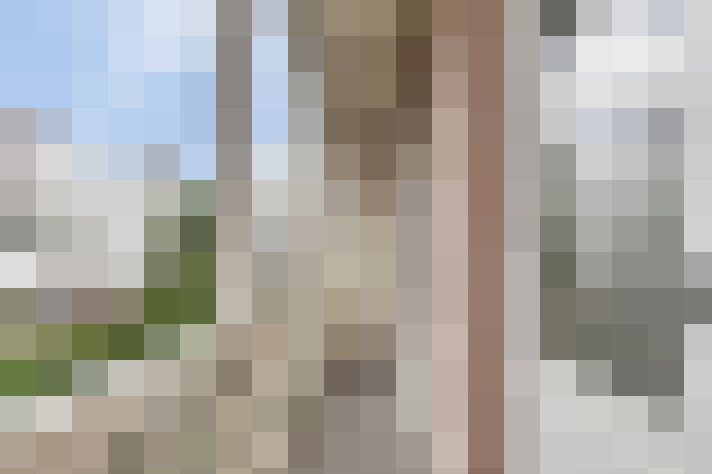  / #16