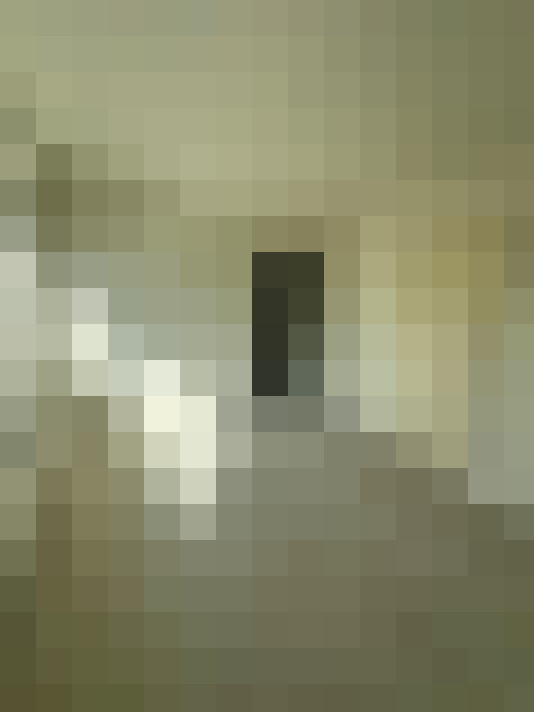  / #17