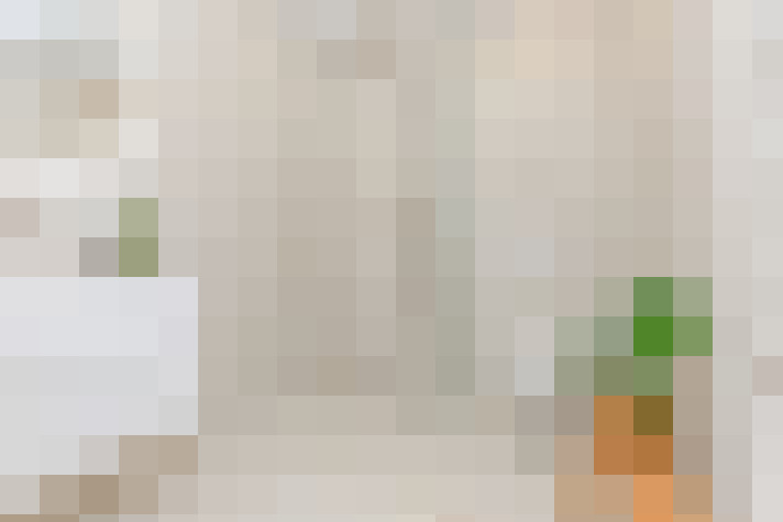  / #20