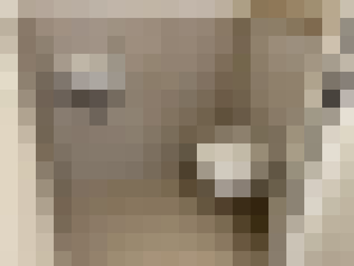  / #13