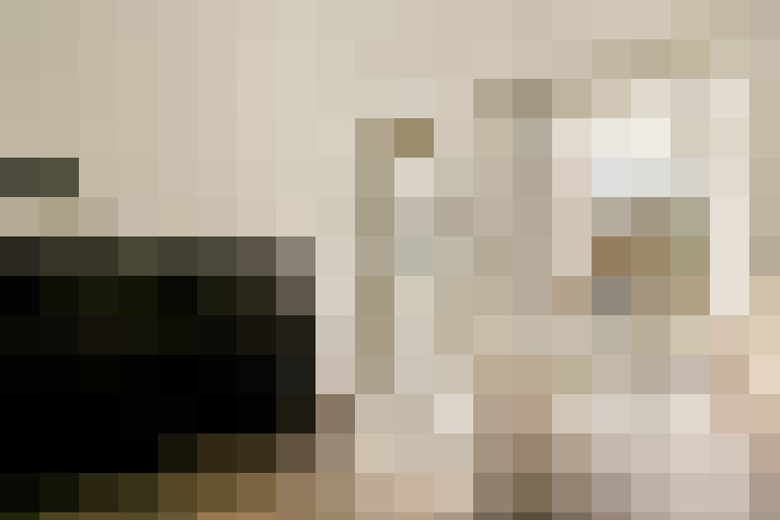  / #15