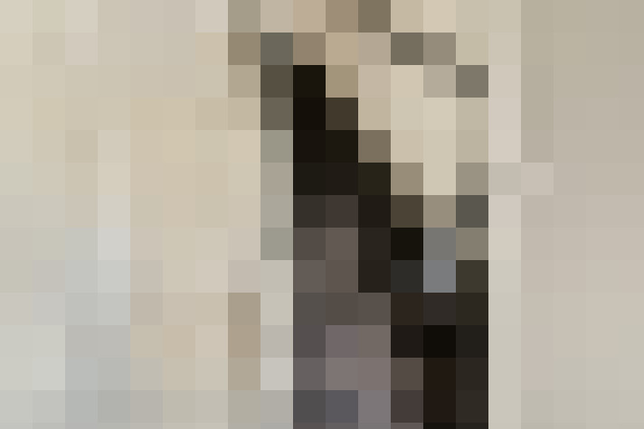  / #24