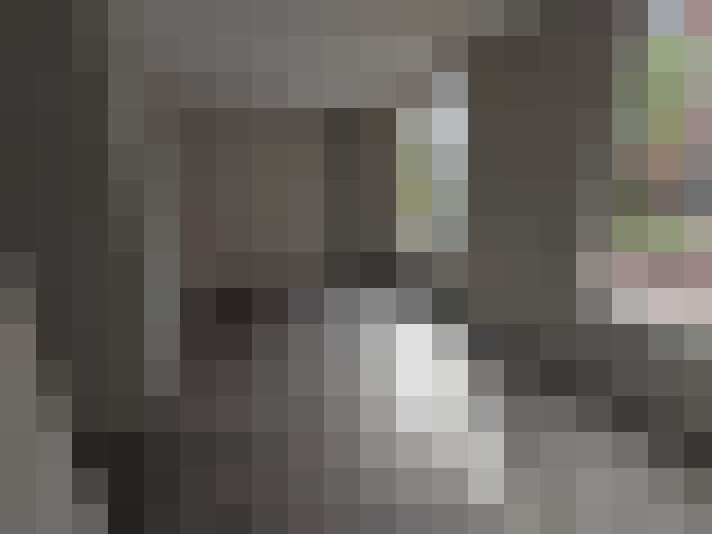  / #8