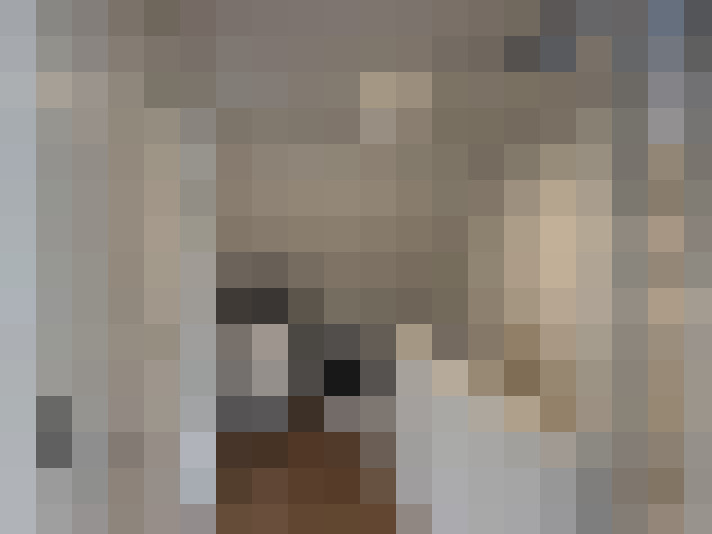  / #19