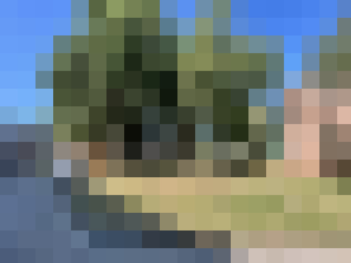  / #17