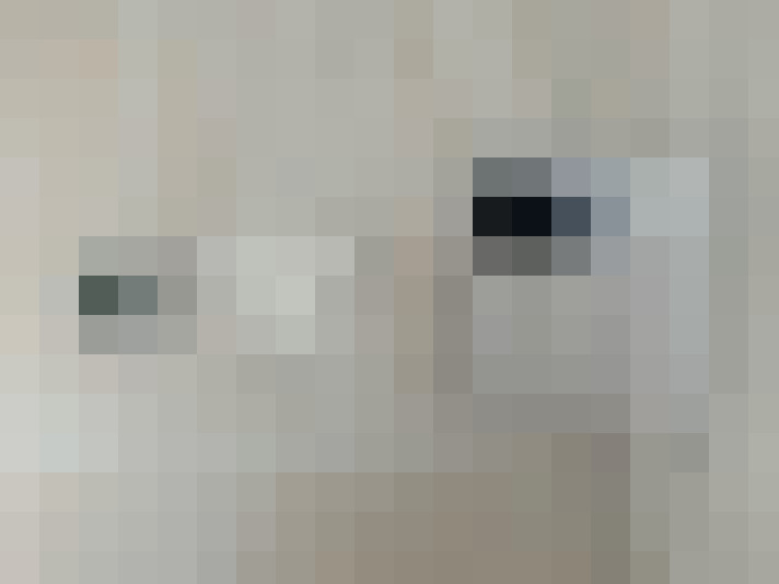  / #12