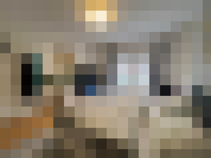  / #22