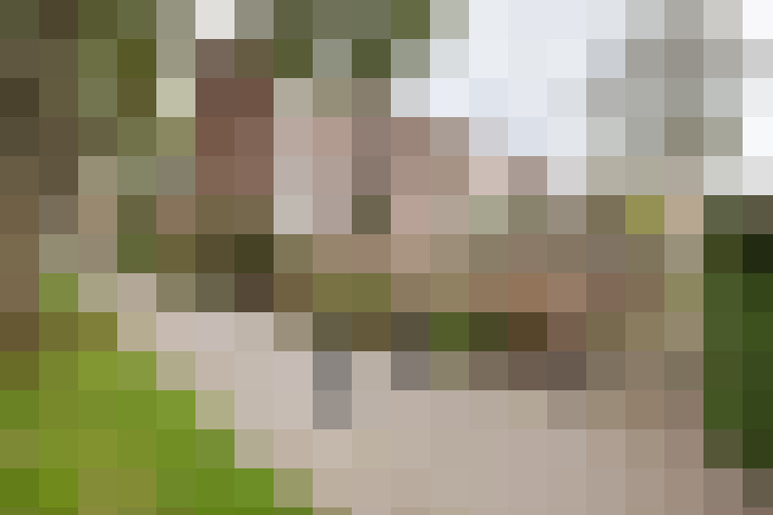  / #16