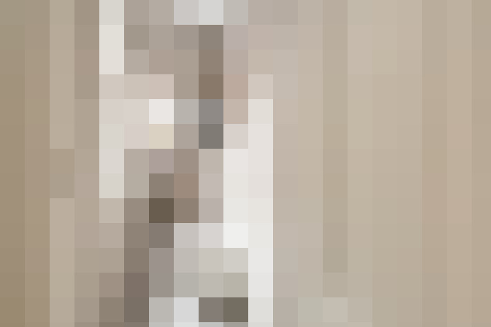  / #20