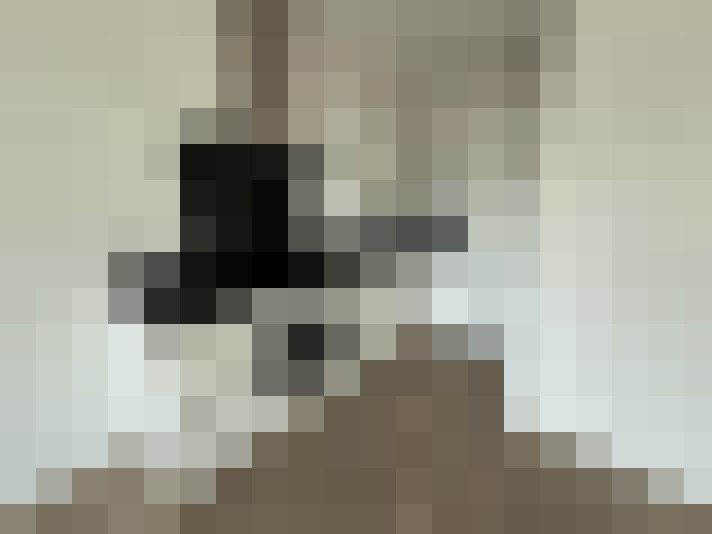  / #14