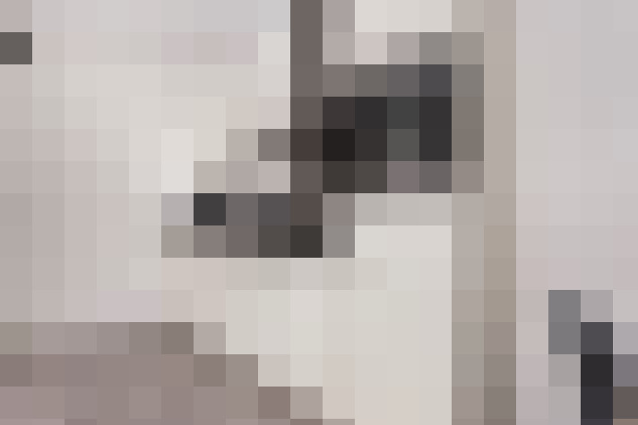  / #8