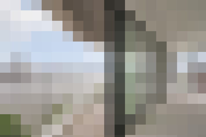  / #22