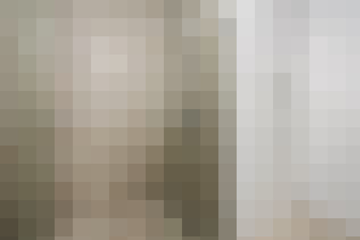  / #19