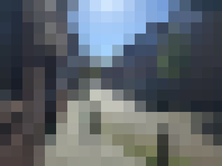  / #15