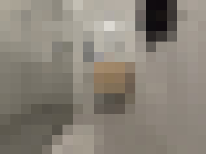  / #9
