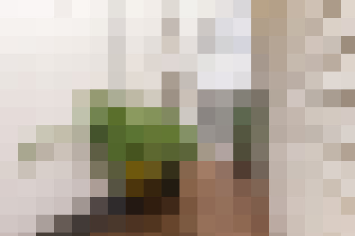  / #17