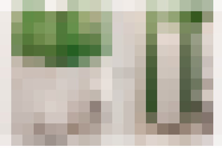  / #15