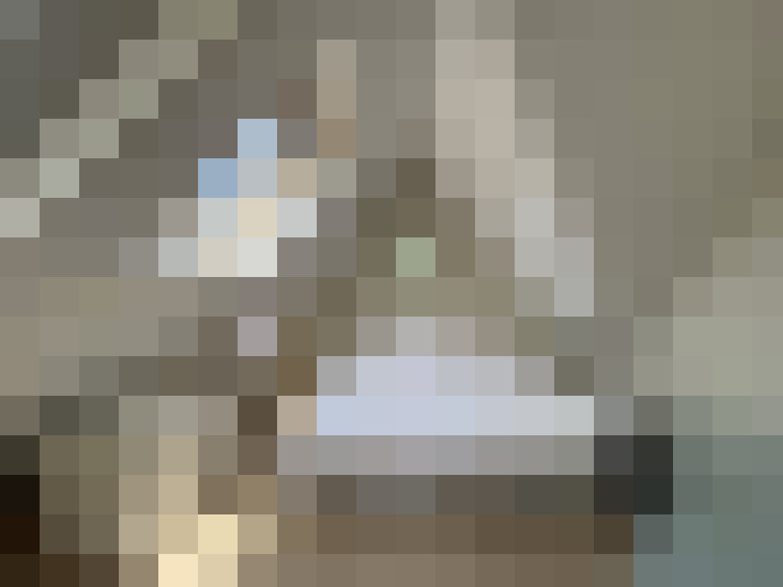  / #19