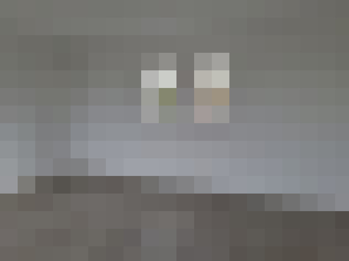  / #12
