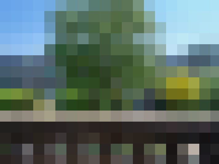  / #15