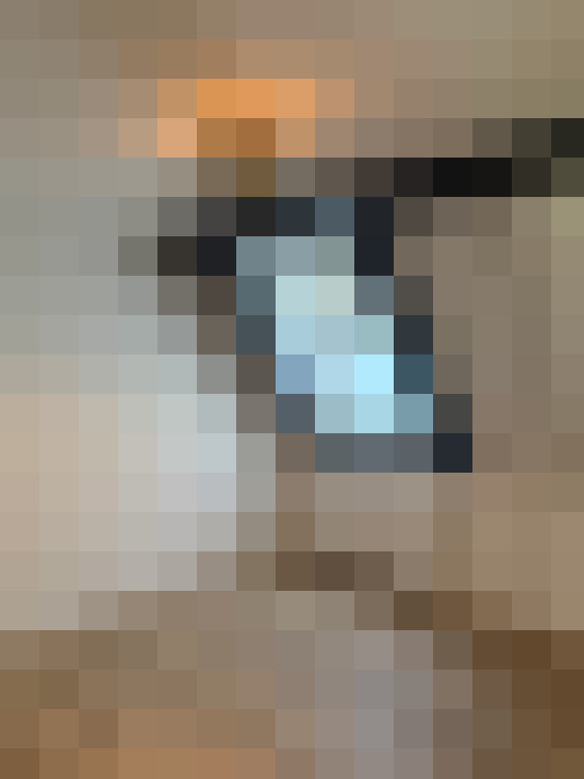  / #15