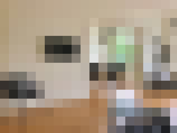  / #15