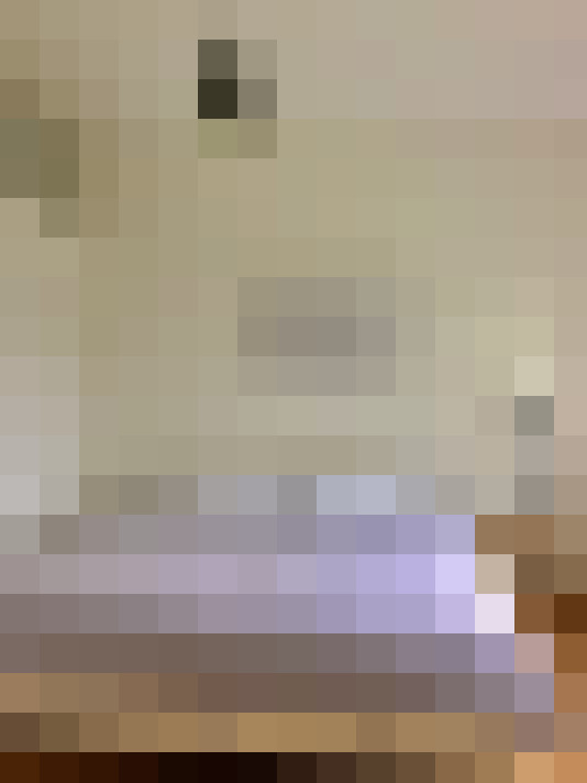  / #20