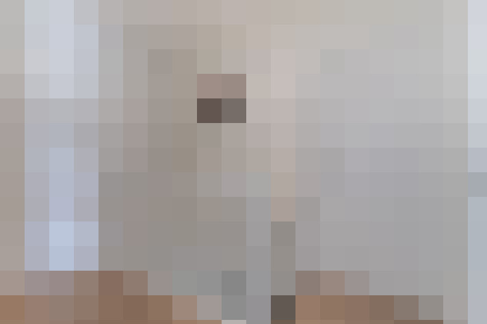  / #19