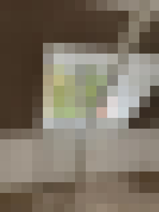  / #17
