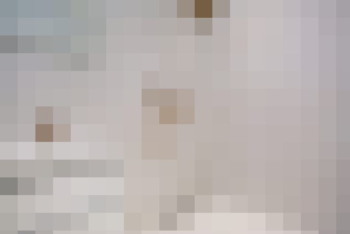  / #19