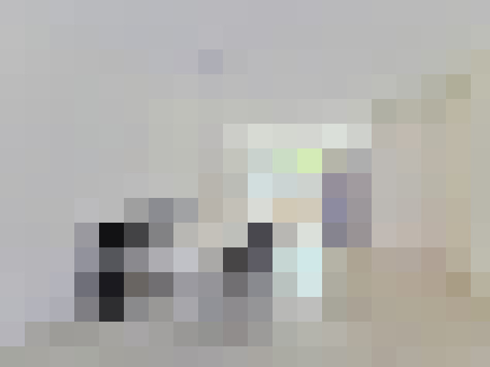  / #15