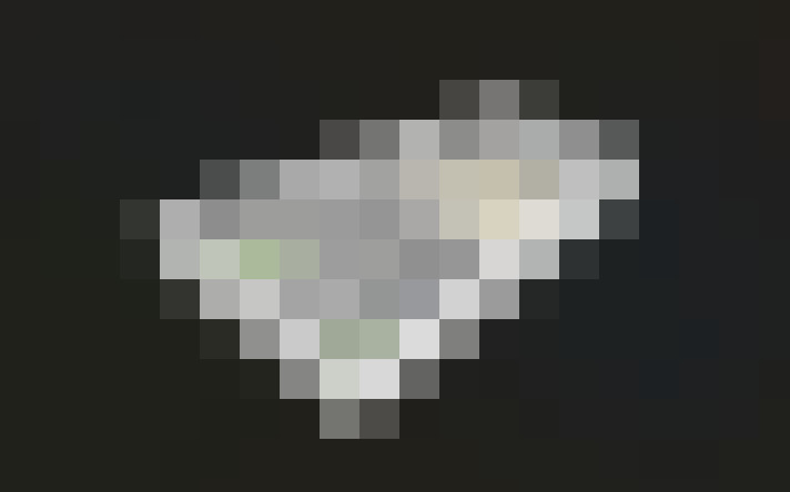  / #14