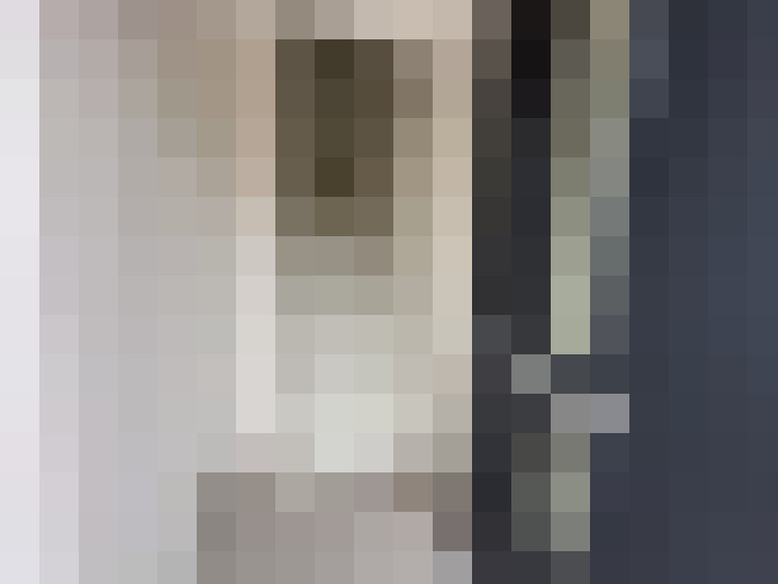  / #15