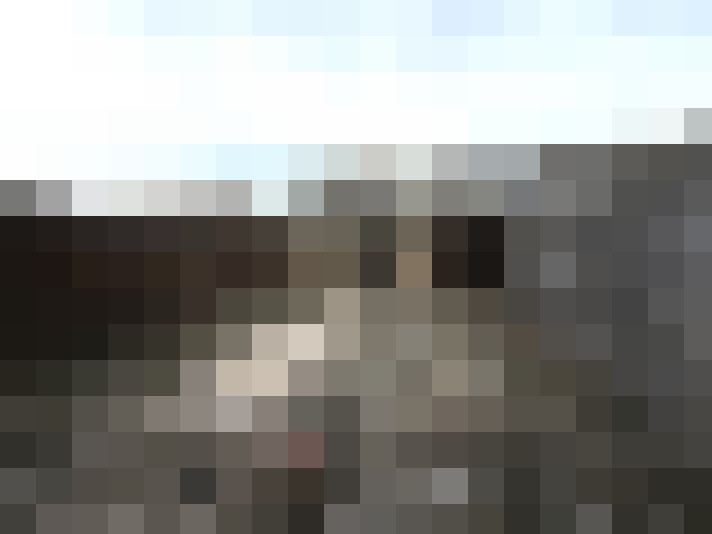  / #16