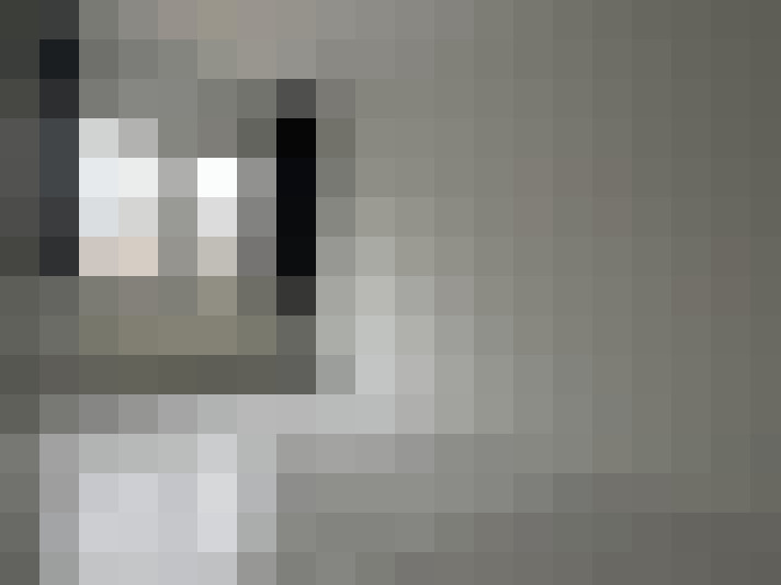  / #14