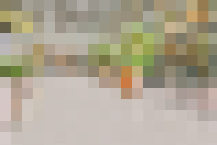  / #21