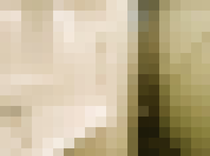  / #14
