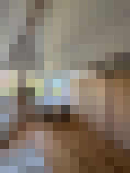 / #23