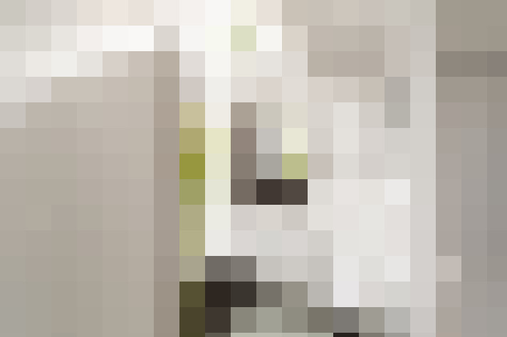  / #19