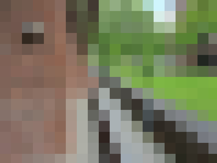  / #24
