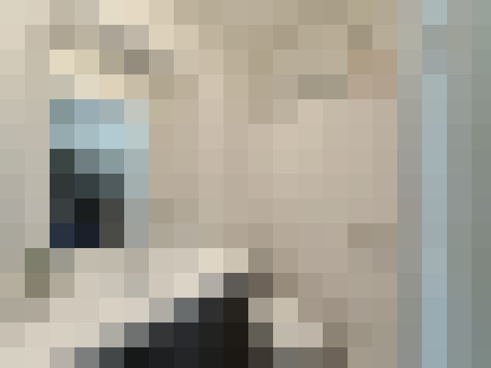  / #14