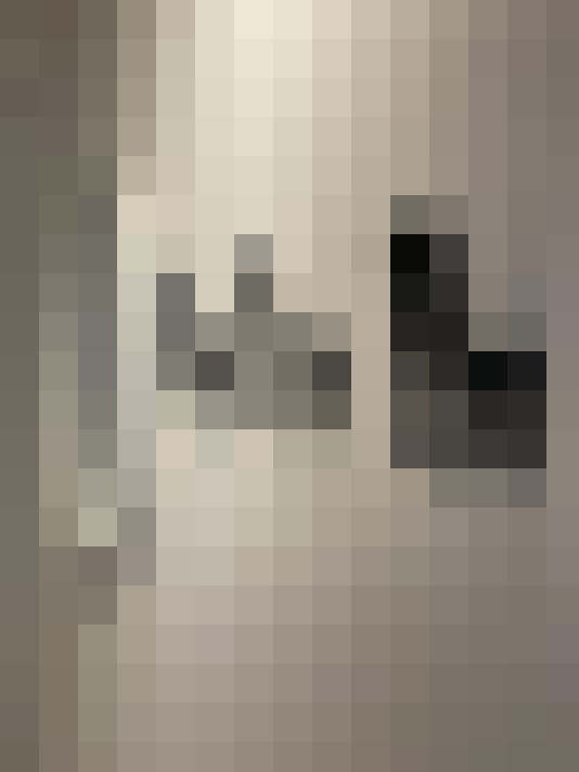  / #19