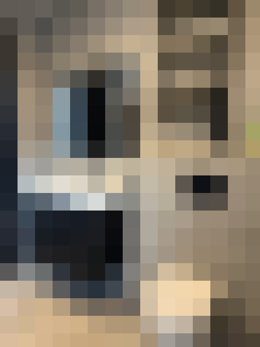  / #14