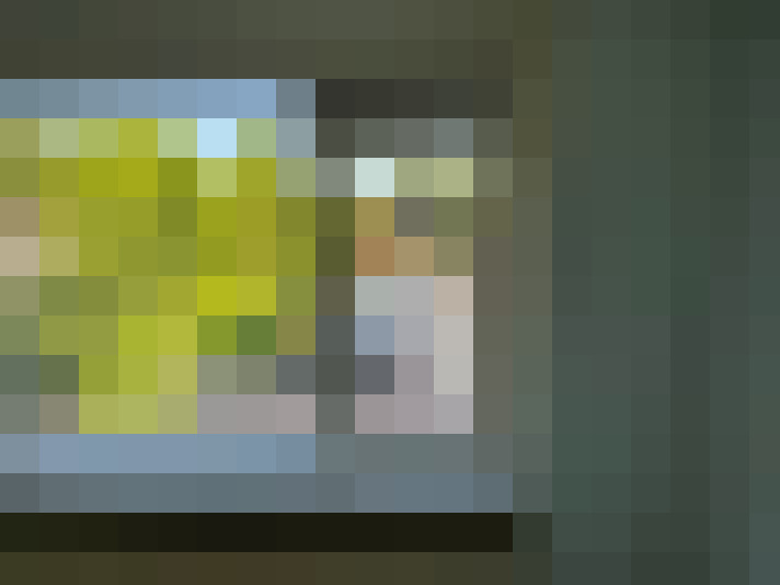  / #16